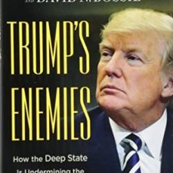 Trump's Enemies: How the Deep State Is Undermining the Presidency - Chris Wraight