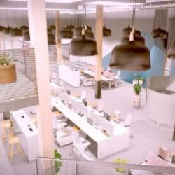 WellNess and Sustainability in Architectural Design