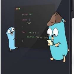 ������ ���� �� ����� Golang. � ���� �� REST API � gRPC (2025) PCRec