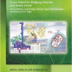 Nitschke W , Duval S  Metal Ions and the Route to Life 2025