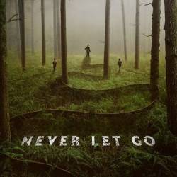Never Let Go (2024) 1080p STZ WEB-DL DD 5 1 H 264-PiRaTeS
