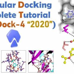 Structural Bioinformatics; Molecular Docking Masterclass