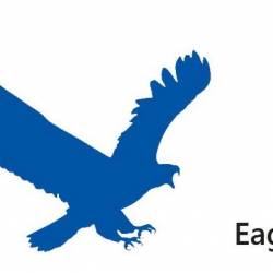 EagleGet 1.1.2.0