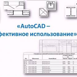 AutoCAD.   (2013)