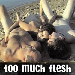    / Too Much Flesh (2000) DVDRip