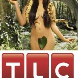   (3  10   10) / Strange Sex (TLC) [2012, -, TVRip] MVO