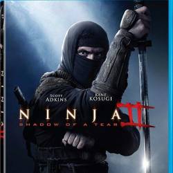  2 / Ninja: Shadow of a Tear (2013) HDRip/1400Mb/700Mb