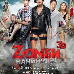 Z  [2013] BDRip-AVC