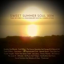 Sweet Summer Soul 2014 (2014)