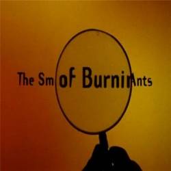    / The Smell of Burning Ants (1994) DVDRip