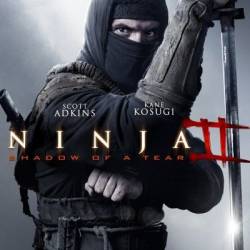  2 / Ninja: Shadow of a Tear (2013)