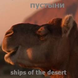  / Ships of the desert (2012) HDTVRip 720p