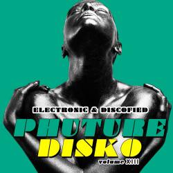 Phuture Disko Vol.13 - Electronic & Discofied (2015)