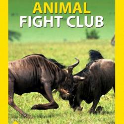     (2 : 1-6   6) / Animal Fight Club (2014) HDTVRip