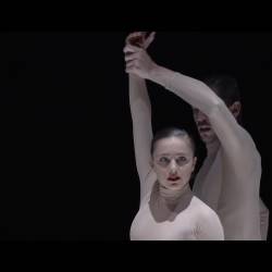    -     - /Medhi Walerski - Camille Saint-Saens - Garden - The Great Fugue - Nederland Dans Theater - Lucent Danstheater/ (   -      - 2017) HDTVRip