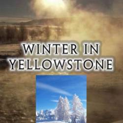    / Winter In Yellowstone (2006) HDTV 1080i