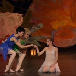    -   /Alexei Ratmansky - Psyche - Opera National de Paris, palais Garnier/ (   - 2014) HDTVRip