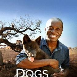    / Dogs: An Amazing Animal Family (2017) HDTVRip 1080p