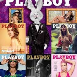   - Playboy. Full Year Issues Collection [USA] (2017)