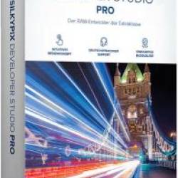 SILKYPIX Developer Studio Pro 10.0.10.0 (RUS/ENG) Portable by conservator