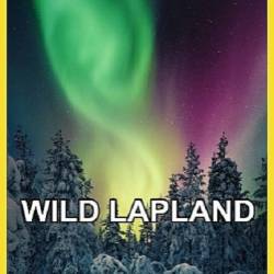   / Wild Lapland (2019) HDTV 1080i