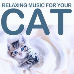 Relaxing Music for Your Cat (2022) Mp3 - Lounge, Chillout, Downtempo, Instrumental!