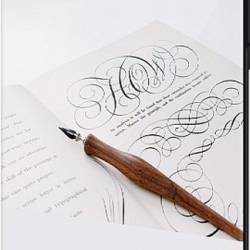     () -   16   ,        .       !