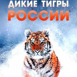    / Russia's Wild Tiger (2022) WEB-DL 1080p
