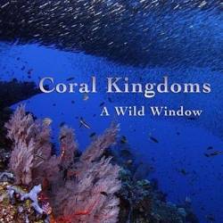    -   / Wild Window: Coral Kingdoms (2017) UHDTV 2160p