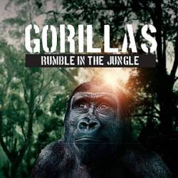 :    / Gorilla. Rumble in the Jungle (2020) HDTVRip 720p