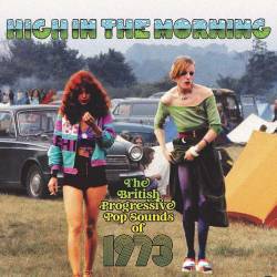 High In The Morning - British Progressive Pop Sounds Of 1973 (1981-2009) FLAC - Pop, Rock