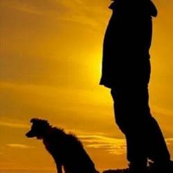  /   [S01] (2022) WEB-DLRip