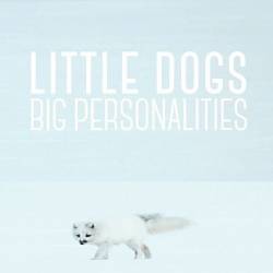 : ,    / Little Dogs: Big Personalities (2021) HDTV 1080i