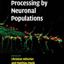 Information Processing by Neuronal Populations - Christian Holscher