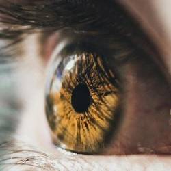 Emdr Therapy From Basics To Advanced Techniques