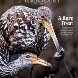 Audubon Magazine - Fall 2024