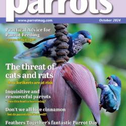 Parrots - October 2024