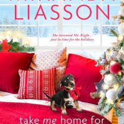 Take Me Home for Christmas - Miranda Liasson