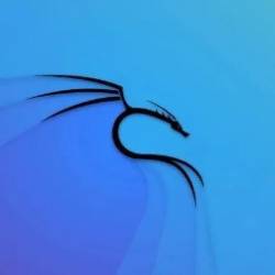 Kali Linux Certification Course: Hacking with Kali Linux