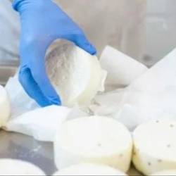 European Cheesemaking For Beginners