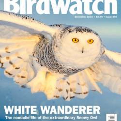 Birdwatch UK - December 2024