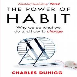 The Power of Habit: Why We Do What We Do in Life and Business - [AUDIOBOOK]