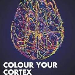 Colour Your Cortex: A Visual and Audio Approach to the Study of the Brain