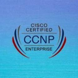 Ccnp EnterpRise: Enarsi 300-410 Training Part-2/2