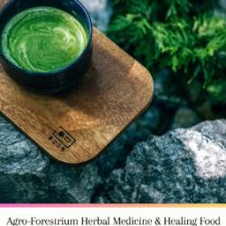 Agro-Forestrium Herbal Medicine & Healing Food For Natural Treatment of ADHD - Jannah Firdaus Mediapro