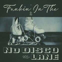 Funkin In The Nu Disco Lane Vol.02 (2025) FLAC - Disco