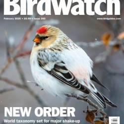 Birdwatch UK - February 2025