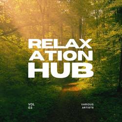 Relaxation Hub Vol. 3 (2025) FLAC - Ambient, Lounge, Chillout, Downtempo