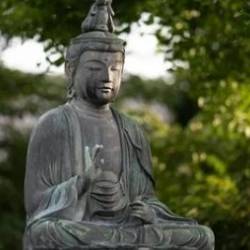 Official Reiki International Program