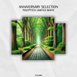 400th Anniversary Selection Pt.2 (2025) FLAC - Melodic House, Melodic Techno